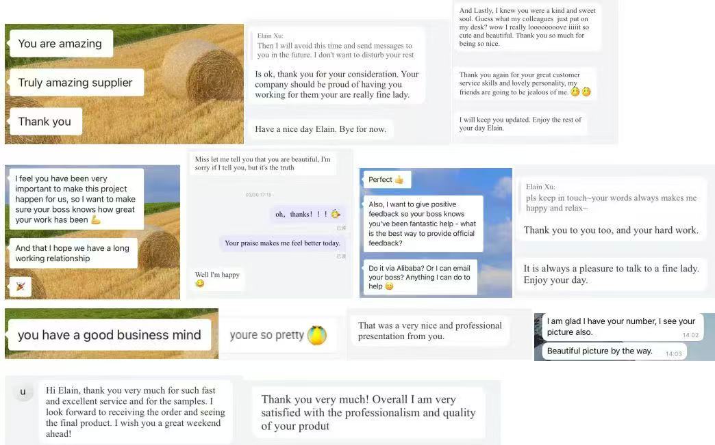 client praise about the cooperation. client praise about the cooperation with lenchor sales Elain